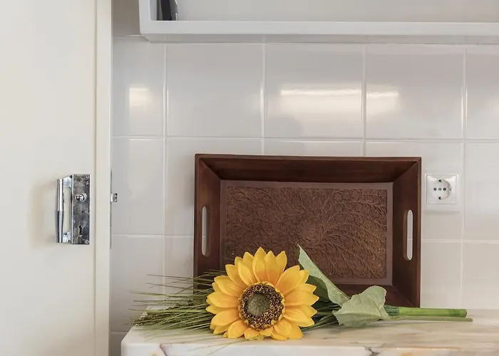 美丽公寓 - 靠近灯光体育场 * Lisboa